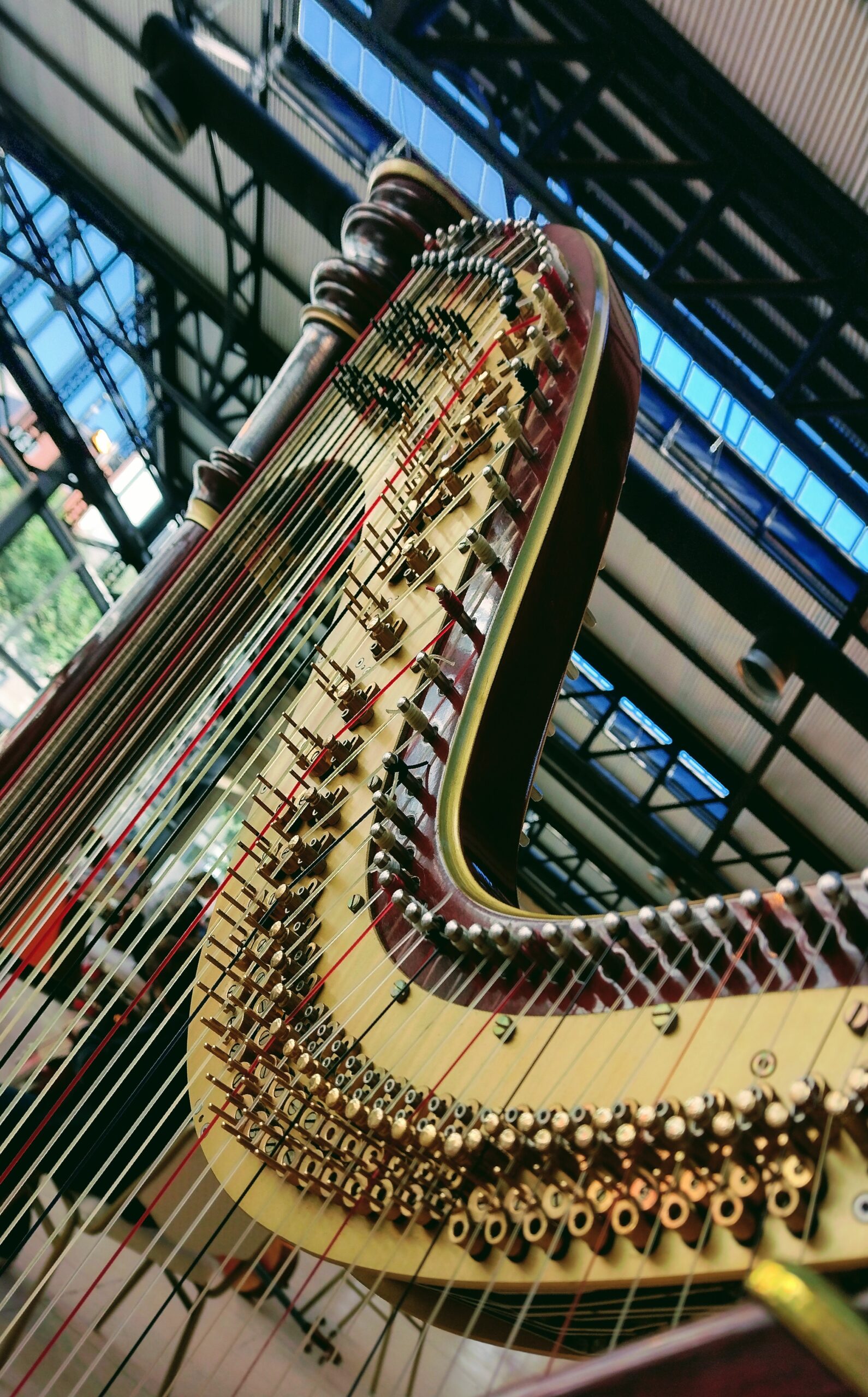 IMG_20210414_095555257_HDR~2